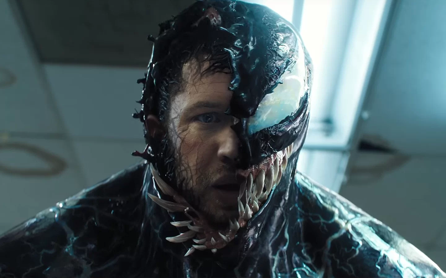 Venom 3: será co-escrito por Tom Hardy